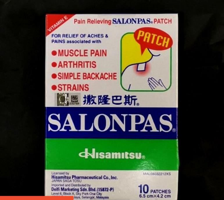 Salonpas Pain Relieving Patch 10 Patches